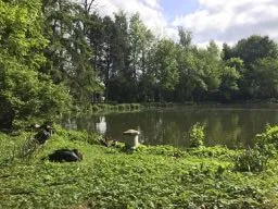 Landelijke ophokplicht vogelgriep op 13 april ingetrokken