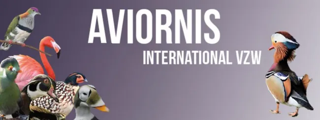 RUILBEURS AVIORNIS WEST-VLAANDEREN