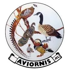 Aviornis International Nederland