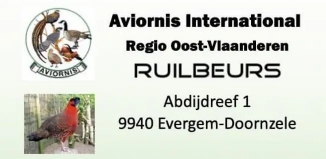 AVIORNIS VOGELRUILBEURS regio Oost-Vlaanderen (B)