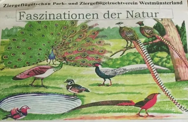 Great Westmünsterland Ornamental Poultry Show