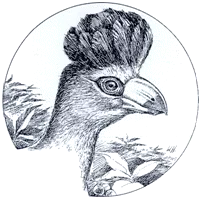 Aviornis Toerakowerkgroep